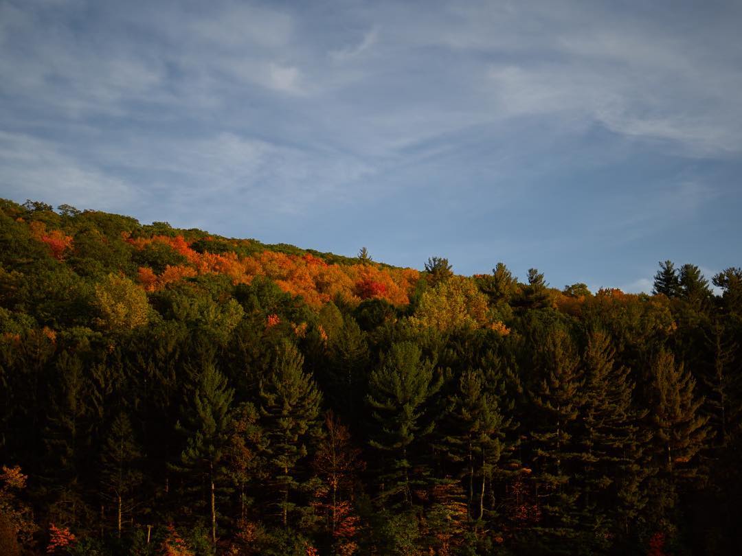 The Berkshires this weekend where unbelievable #berkshires #massachusetts #hasselblad #fall